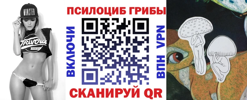купить наркотик  Карталы  Псилоцибиновые грибы Cubensis 